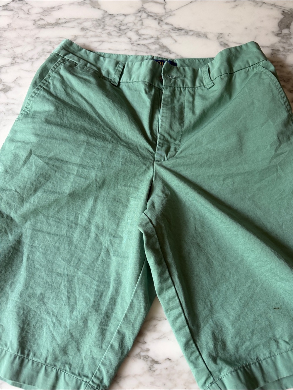 Polo by Ralph Lauren Mint Green Flat Front Shorts